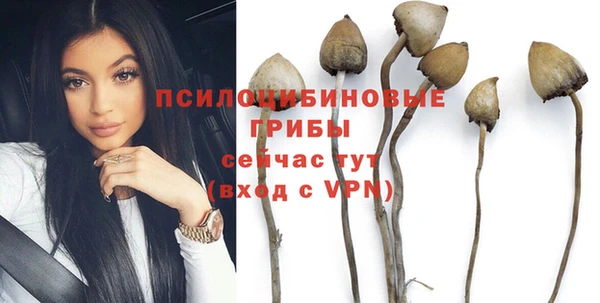 ПСИЛОЦИБИНОВЫЕ ГРИБЫ Дмитровск