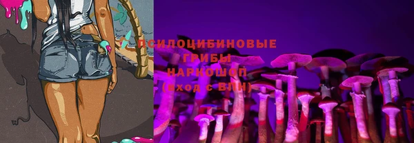 ПСИЛОЦИБИНОВЫЕ ГРИБЫ Дмитровск