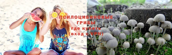 мяу мяу кристалл Дмитриев