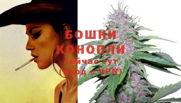 ПСИЛОЦИБИНОВЫЕ ГРИБЫ Дмитровск
