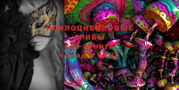 МДМА Ельня