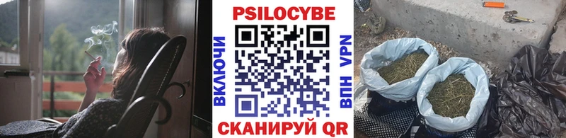 Псилоцибиновые грибы прущие грибы  как найти   Бородино 